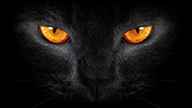 Florien High School logo